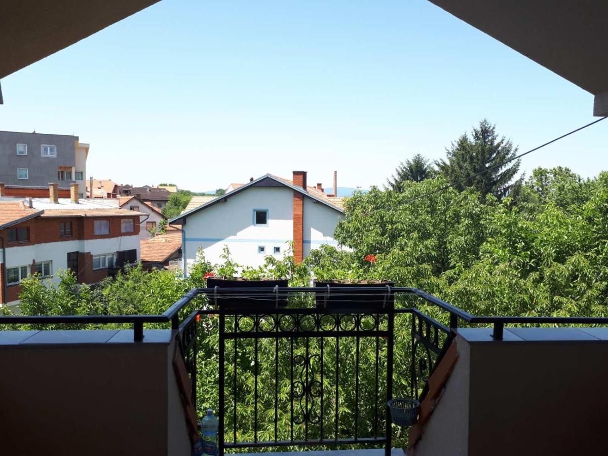 Smestaj Milenkovic Soko Banja Dış mekan fotoğraf