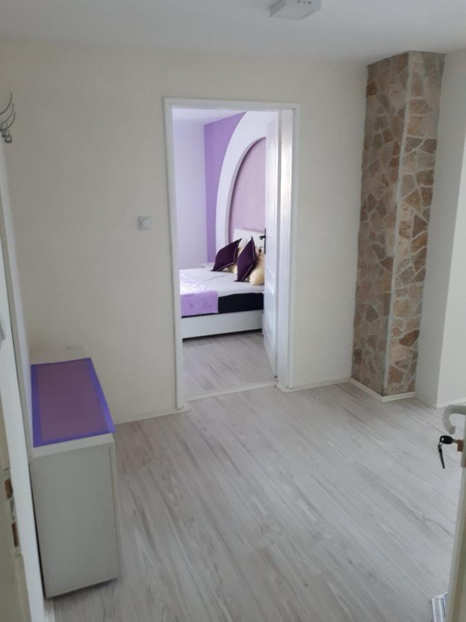 Smestaj Milenkovic Soko Banja Dış mekan fotoğraf