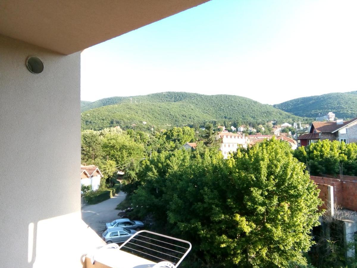 Smestaj Milenkovic Soko Banja Dış mekan fotoğraf